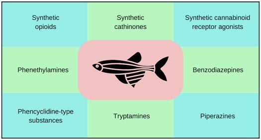 ADB-BUTINACA – Understanding Its Effects and Safety Concerns